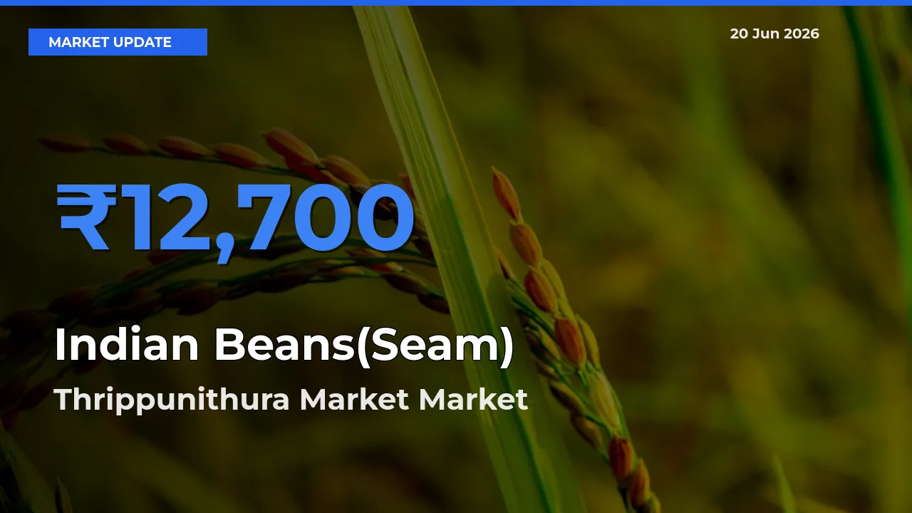 Thrippunithura Market Emerges as Top Mandi for Indian Beans(Seam) Prices Today