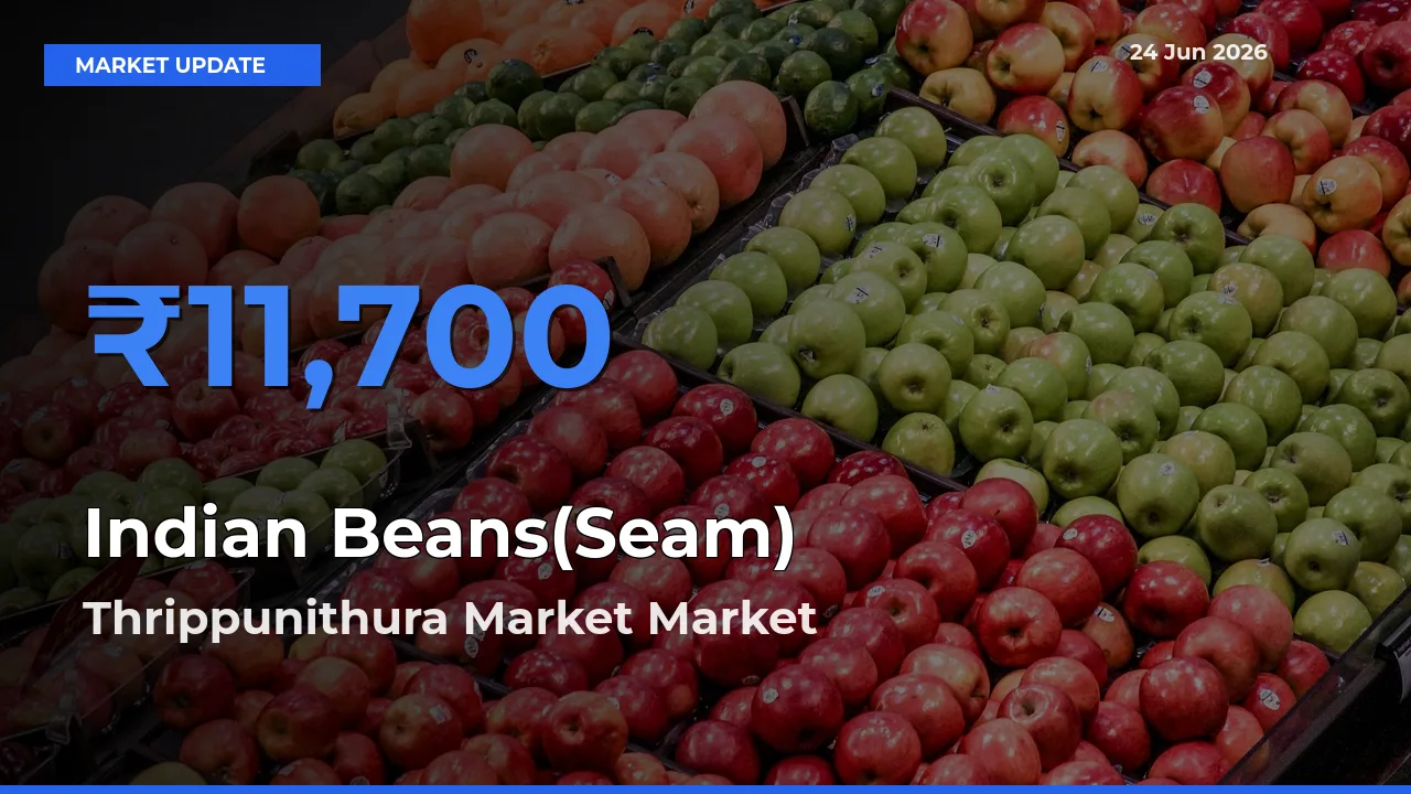 Thrippunithura Market Tops Indian Beans(Seam) Mandi Rates Today