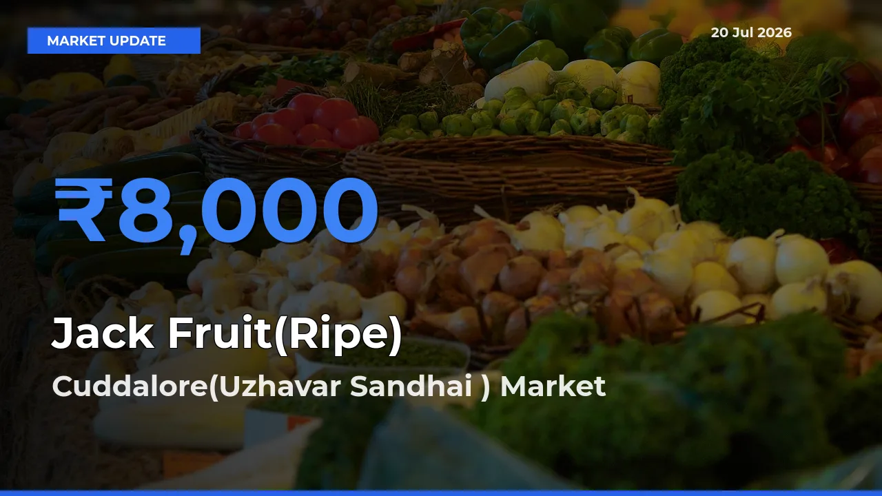 Cuddalore(Uzhavar Sandhai ) Tops Jack Fruit(Ripe) Mandi Rates Today