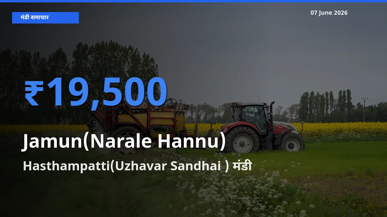 आज जामुन (नाराले हन्नू) के सबसे ऊँचे दाम ₹19,500 Hasthampatti(Uzhavar Sandhai ) मंडी में