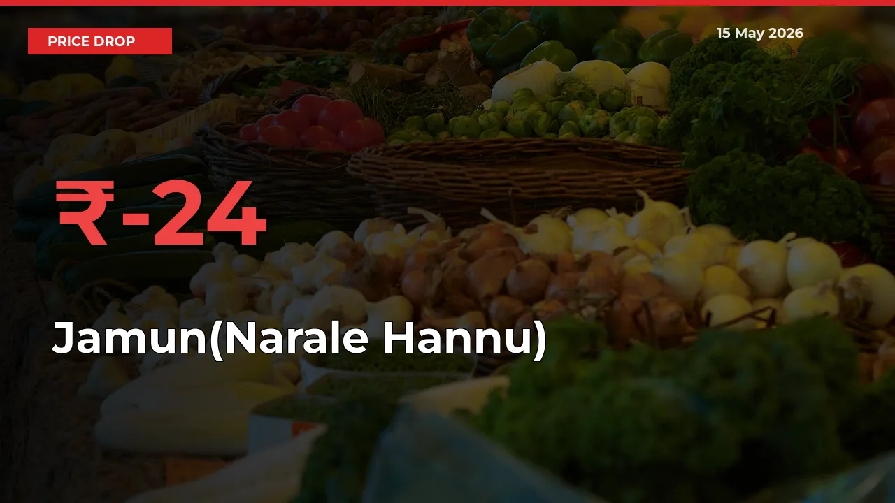 24.37% Drop in Jamun(Narale Hannu) Prices – Mandi Sees Sudden Fall