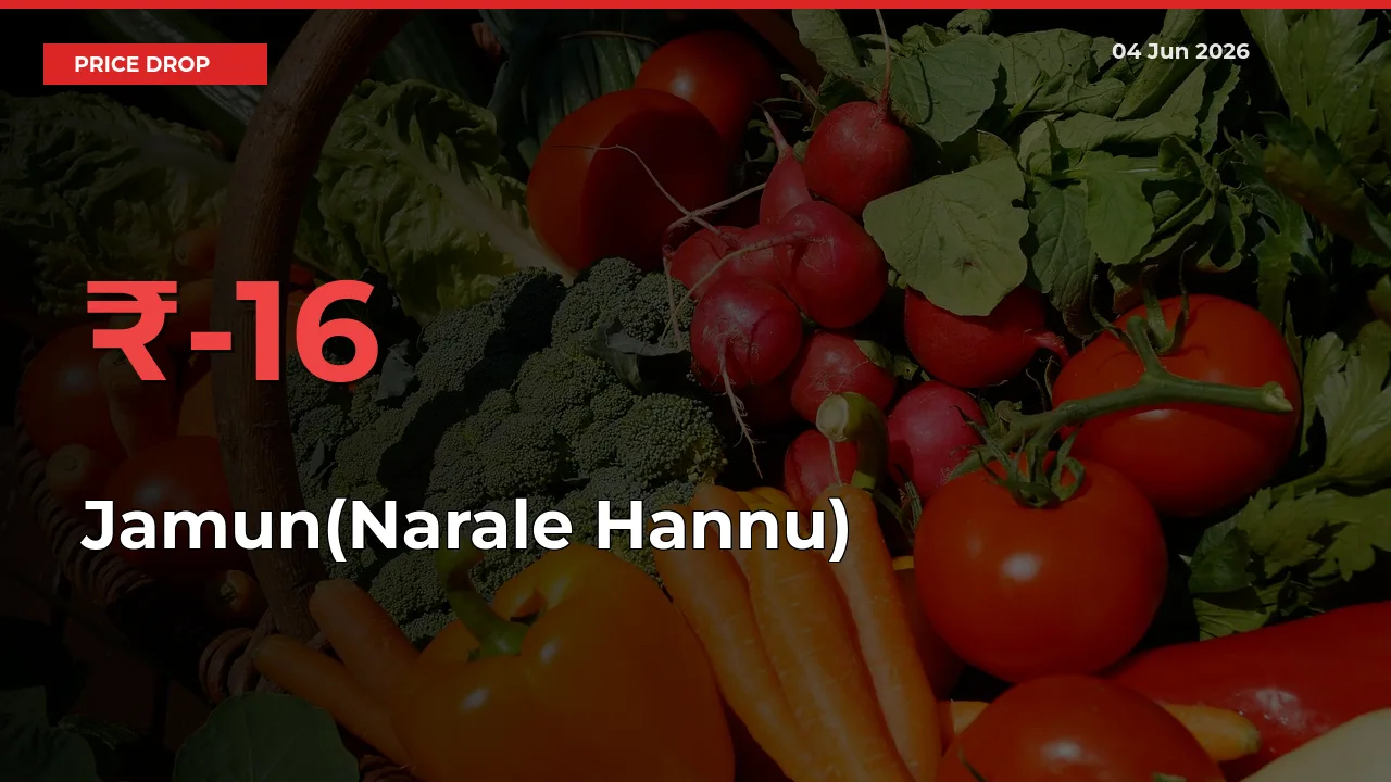 Sharp Fall! Jamun(Narale Hannu) Prices Plunge 15.59% in a Day at Key Mandis