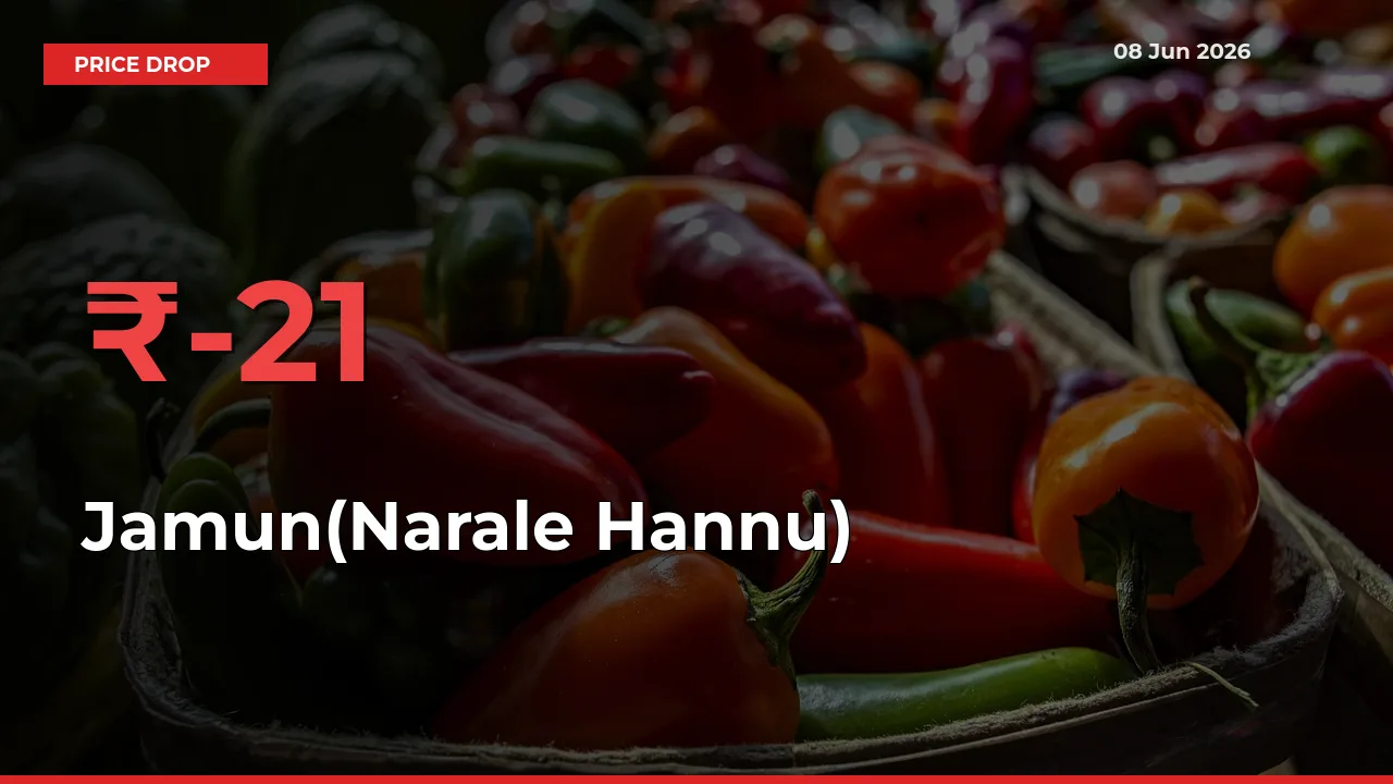 Jamun(Narale Hannu) Falls 21.49% at Mandis
