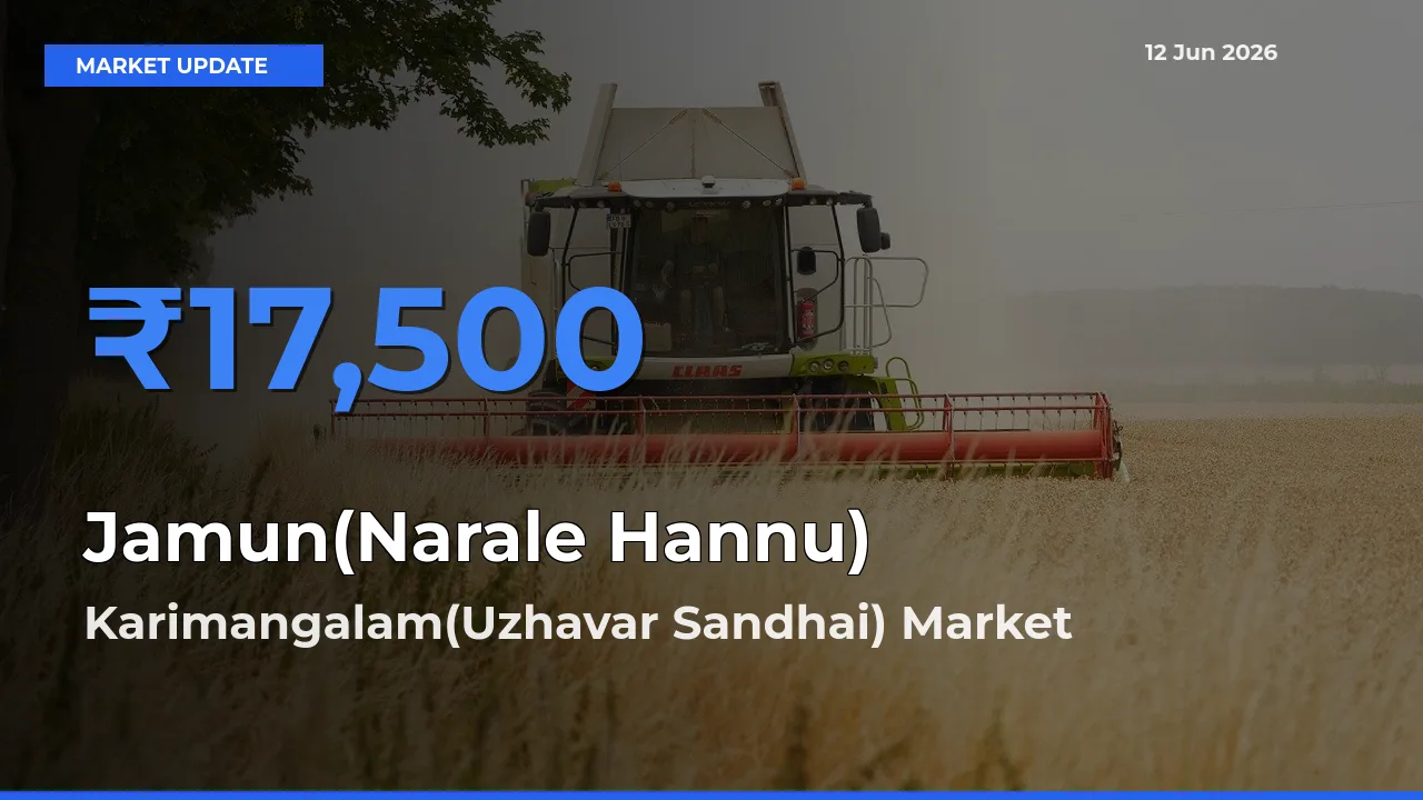 Karimangalam(Uzhavar Sandhai) Tops Jamun(Narale Hannu) Rates – June 12 Market Update