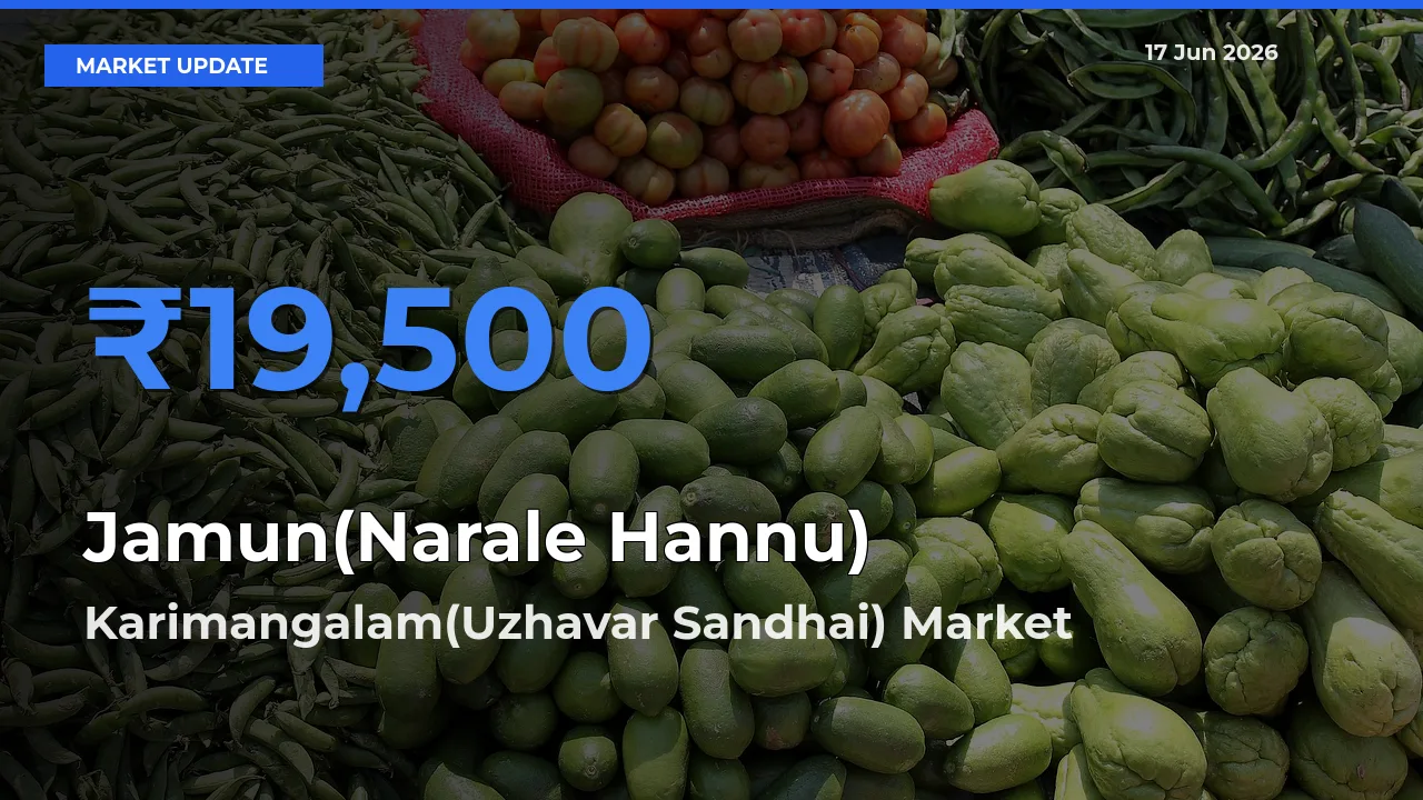 Jamun(Narale Hannu) Mandi Rate Today: Karimangalam(Uzhavar Sandhai) Tops the List