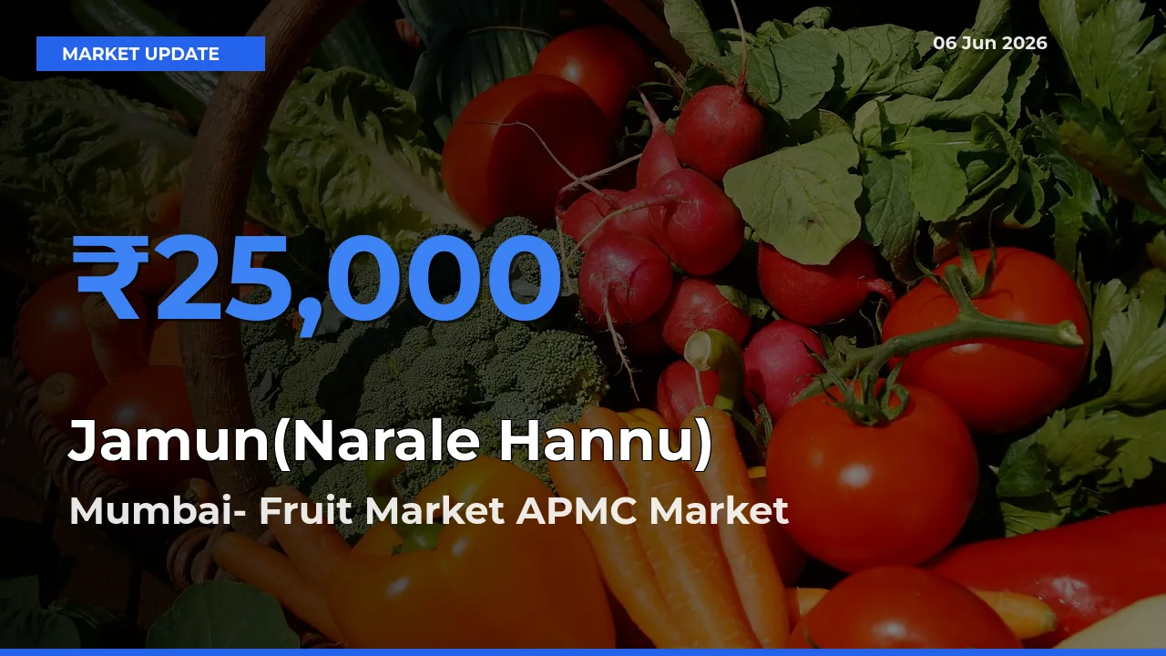Mumbai- Fruit Market APMC Tops Jamun(Narale Hannu) Rates – June 06 Market Update