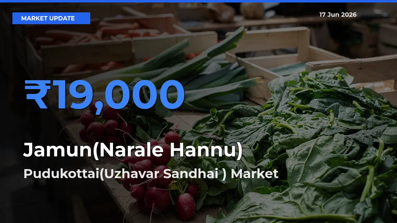 Farmers Prefer Pudukottai(Uzhavar Sandhai ) as Jamun(Narale Hannu) Hits Highest Rate