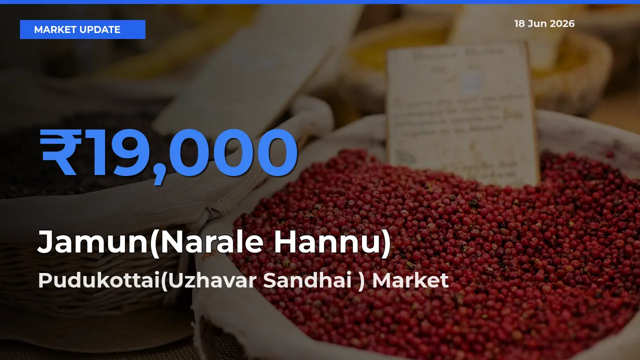 Market Watch: Pudukottai(Uzhavar Sandhai ) Becomes Top Mandi for Jamun(Narale Hannu)