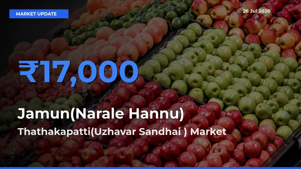 Thathakapatti(Uzhavar Sandhai ) Tops Jamun(Narale Hannu) Rates – July 26 Market Update