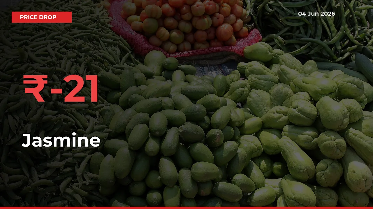Jasmine Prices Drop 21.15% in 24 Hours at Major Mandis