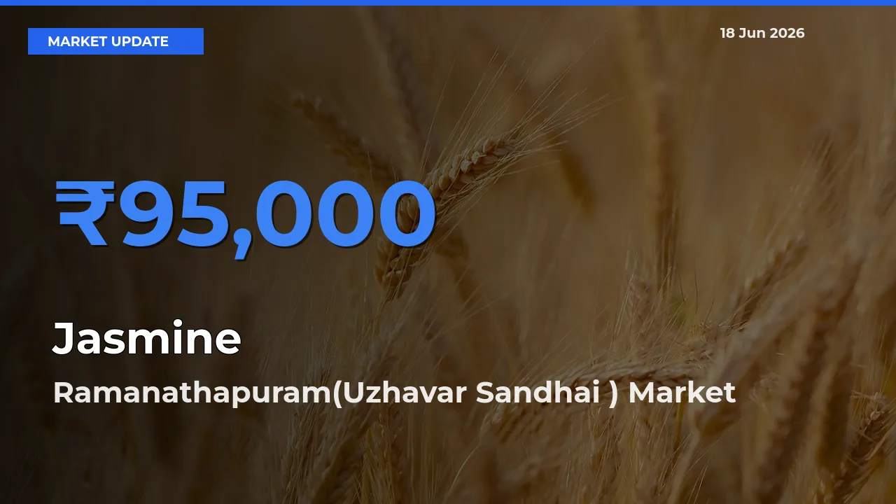 Market Watch: Ramanathapuram(Uzhavar Sandhai ) Becomes Top Mandi for Jasmine