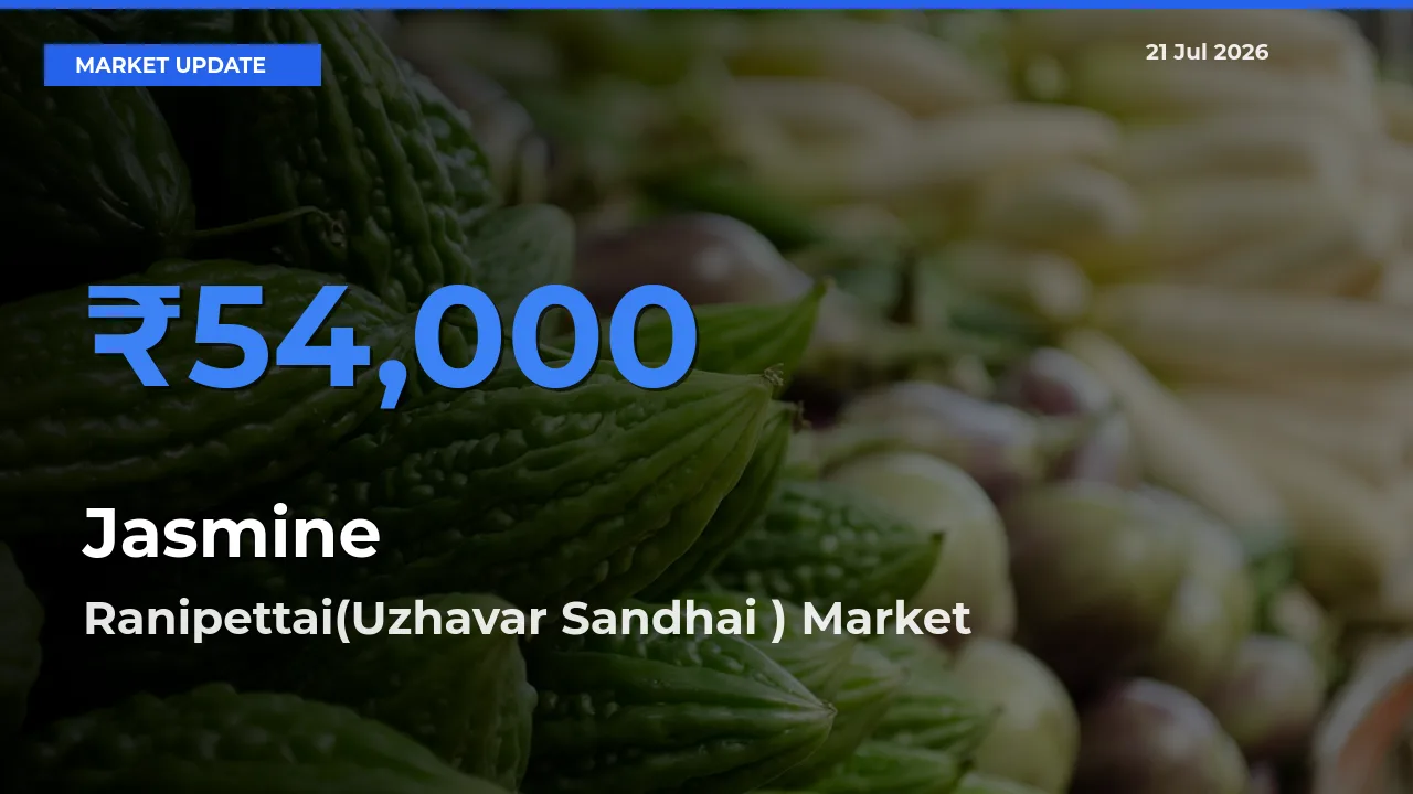 Ranipettai(Uzhavar Sandhai ) Tops Jasmine Rates – July 21 Market Update