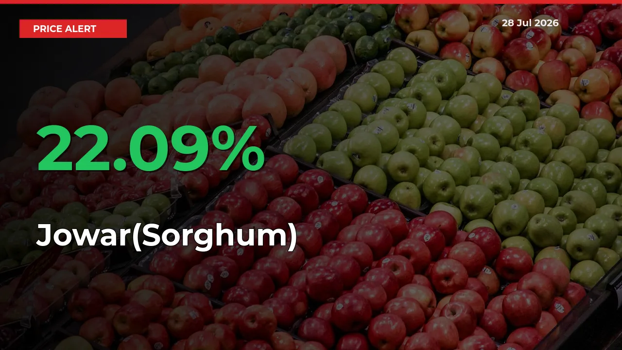 Jowar(Sorghum) Mandi Rate Today: Prices Jump 22.09% at Market