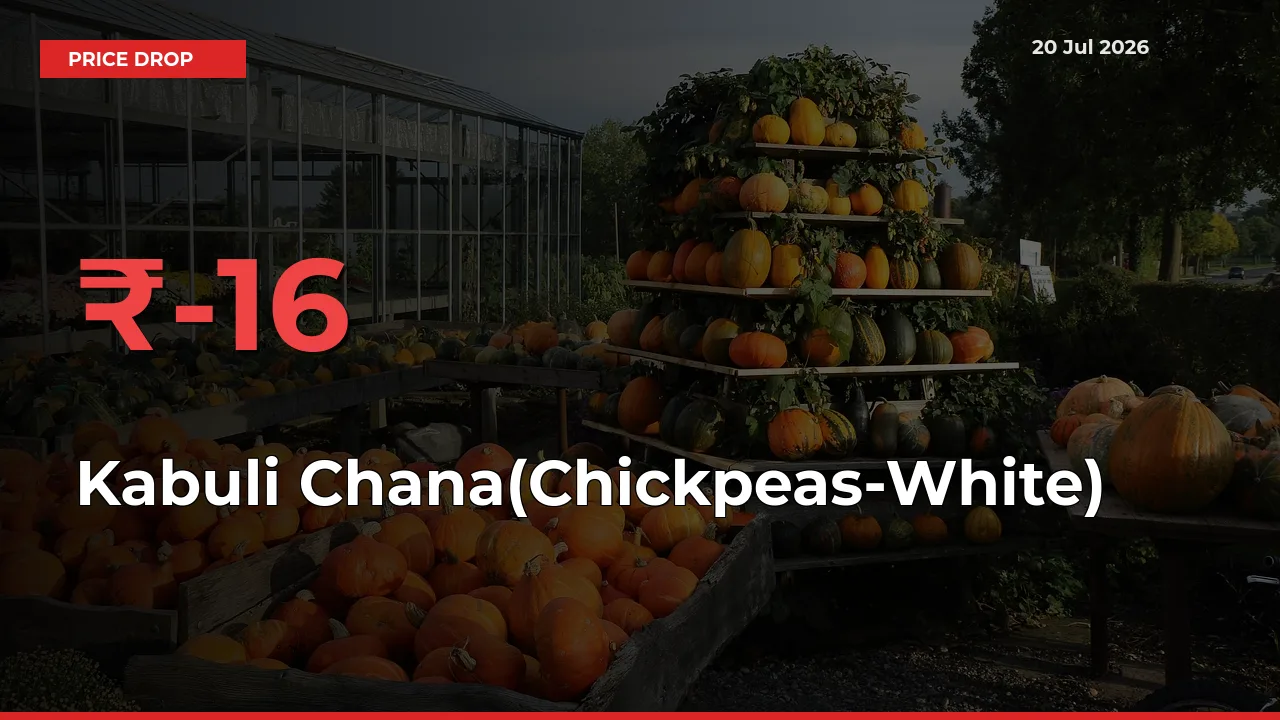 Farmers Alert as Kabuli Chana(Chickpeas-White) Prices Slide 16.08% in Local Mandis