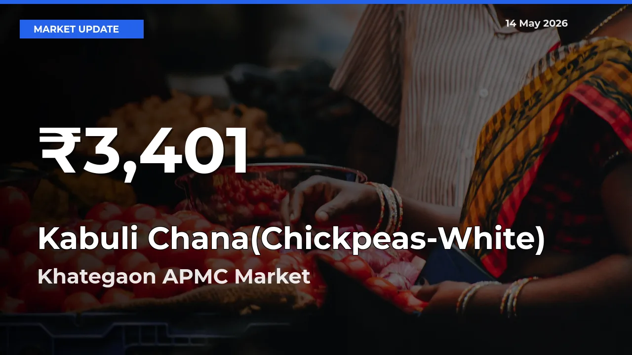 Why Kabuli Chana(Chickpeas-White) Prices Slumped in Khategaon APMC – 30-Day Low Today