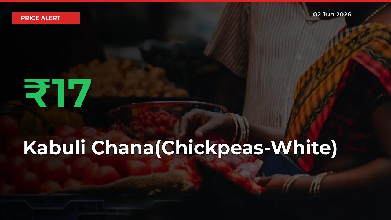 Sharp Jump! Kabuli Chana(Chickpeas-White) Prices Climb 16.94% in 24 Hours at Key Mandis