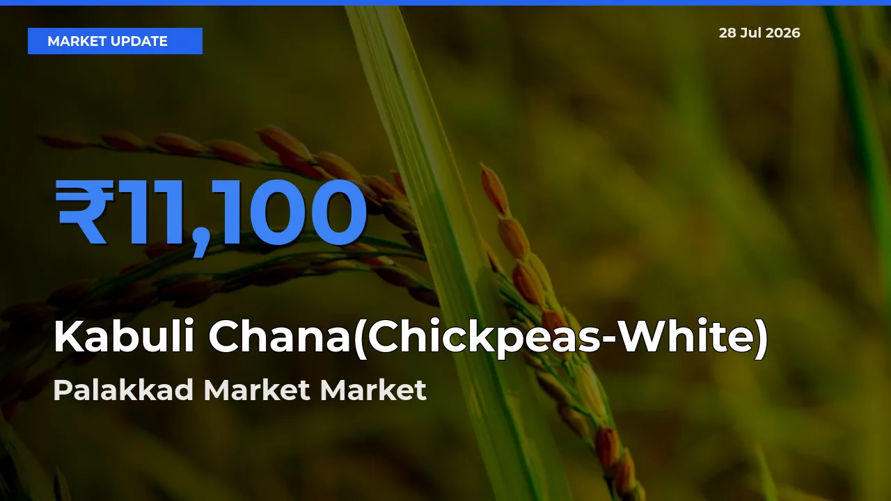 Kabuli Chana(Chickpeas-White) Mandi Rate Today: Palakkad Market, Palakad, Keralam Tops the List