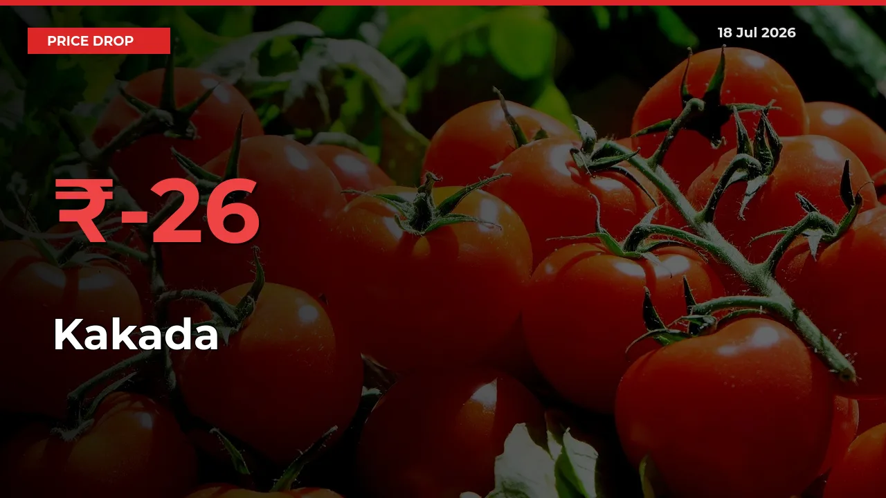 This Mandi Records 25.64% Fall in Kakada Prices