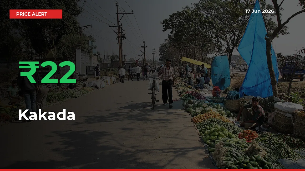 Farmers Cheer as Kakada Prices Surge 21.67% in Local Mandis