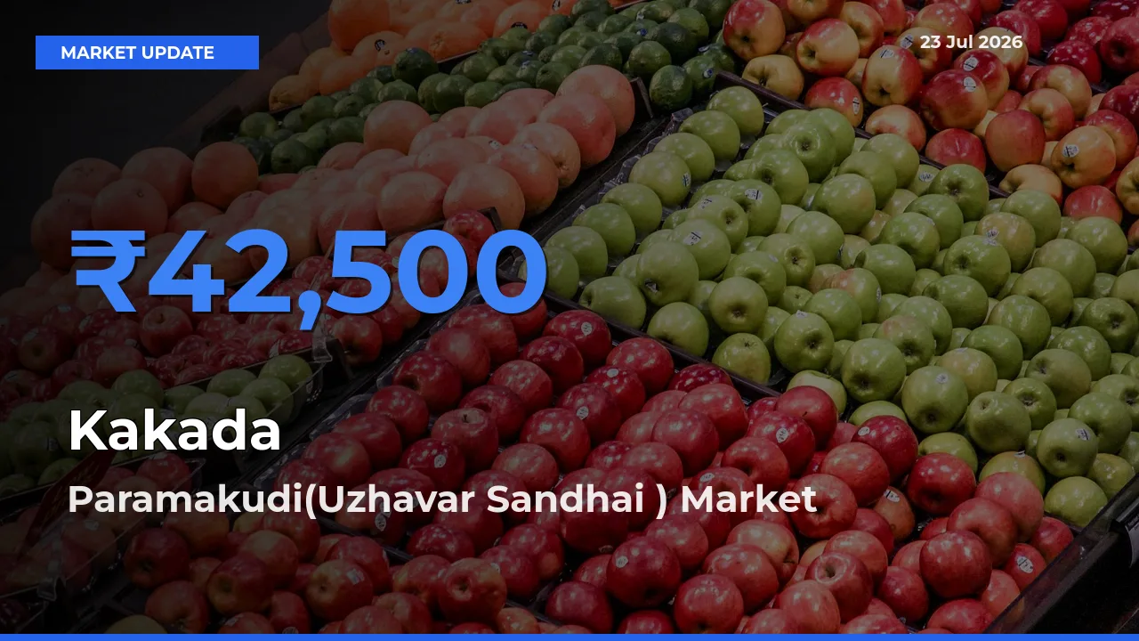 Paramakudi(Uzhavar Sandhai ) Emerges as Top Mandi for Kakada Prices Today