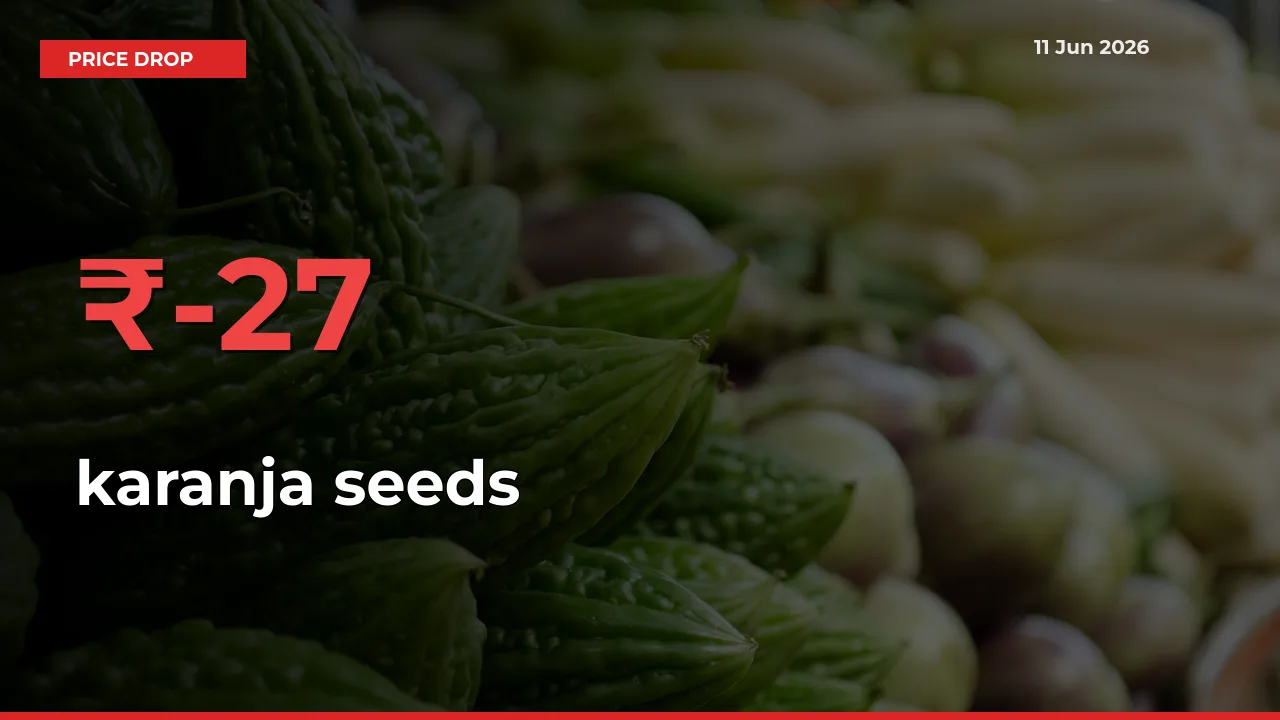 Sharp Fall! karanja seeds Prices Plunge 27.34% in a Day at Key Mandis