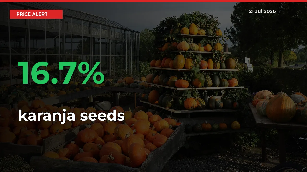Sudden 16.7% Rally in karanja seeds Prices Across Mandis