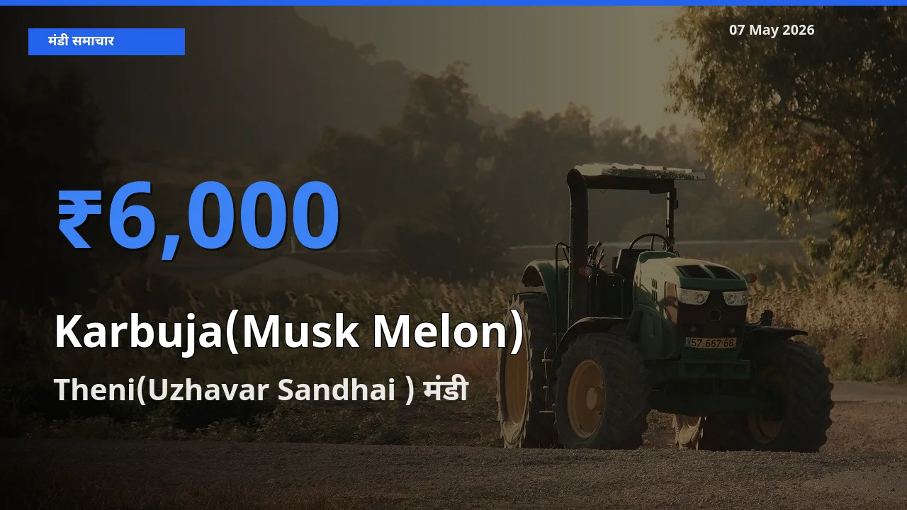 बाज़ार संकेत: Theni(Uzhavar Sandhai ) बना खरबूजा के लिए आज की टॉप मंडी