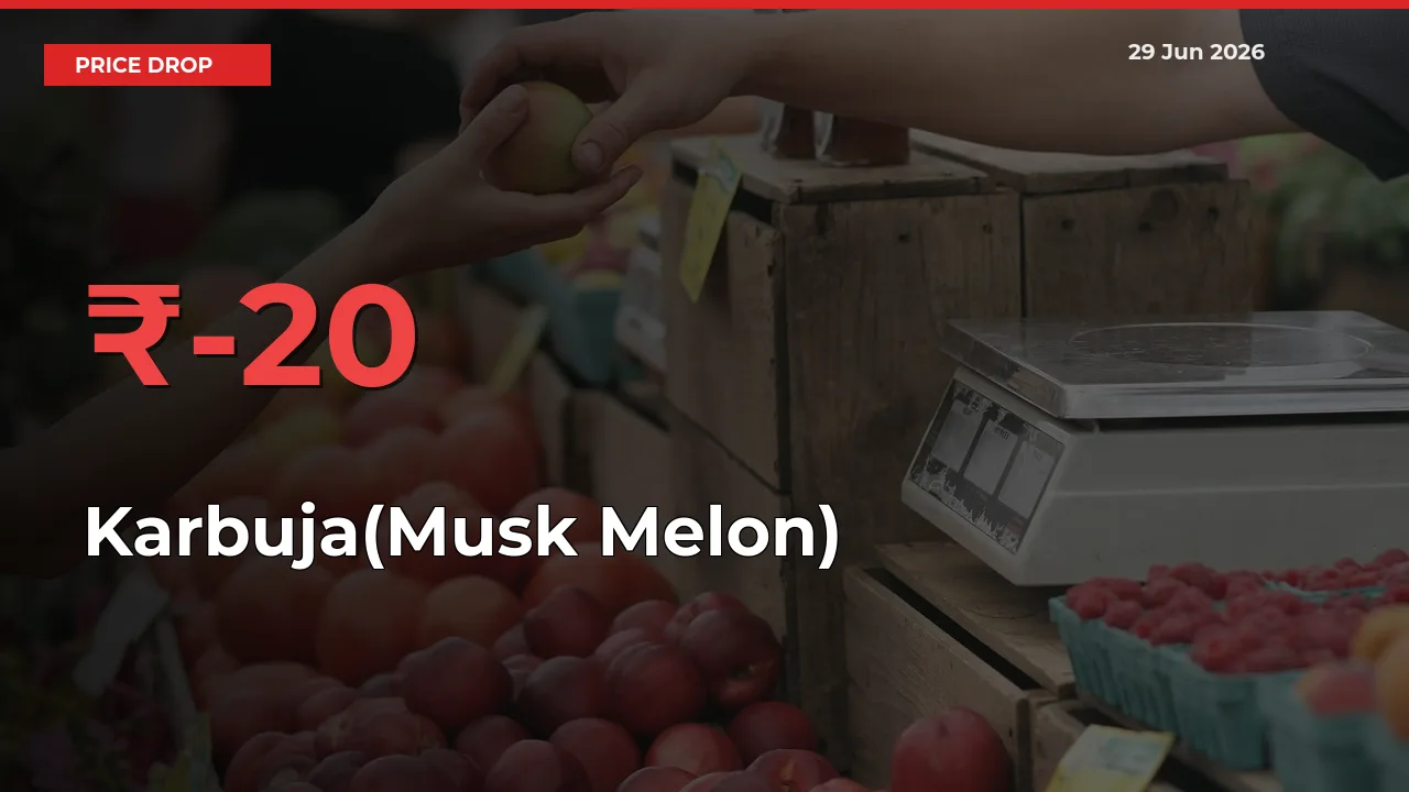 Why Karbuja(Musk Melon) Prices Fell 20.15% in a Day at Mandis