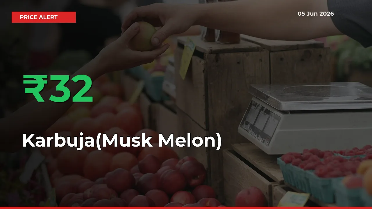 32.1% Spike in Karbuja(Musk Melon) Prices – Mandi Sees Sudden Rally