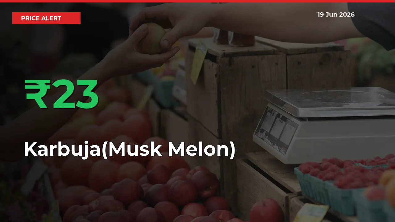 Farmers Cheer as Karbuja(Musk Melon) Prices Surge 23.32% in Local Mandis