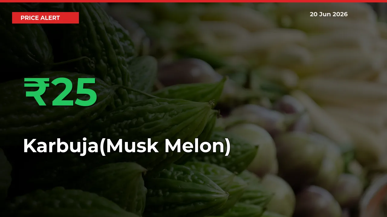 Sudden 24.76% Rally in Karbuja(Musk Melon) Prices Across Mandis