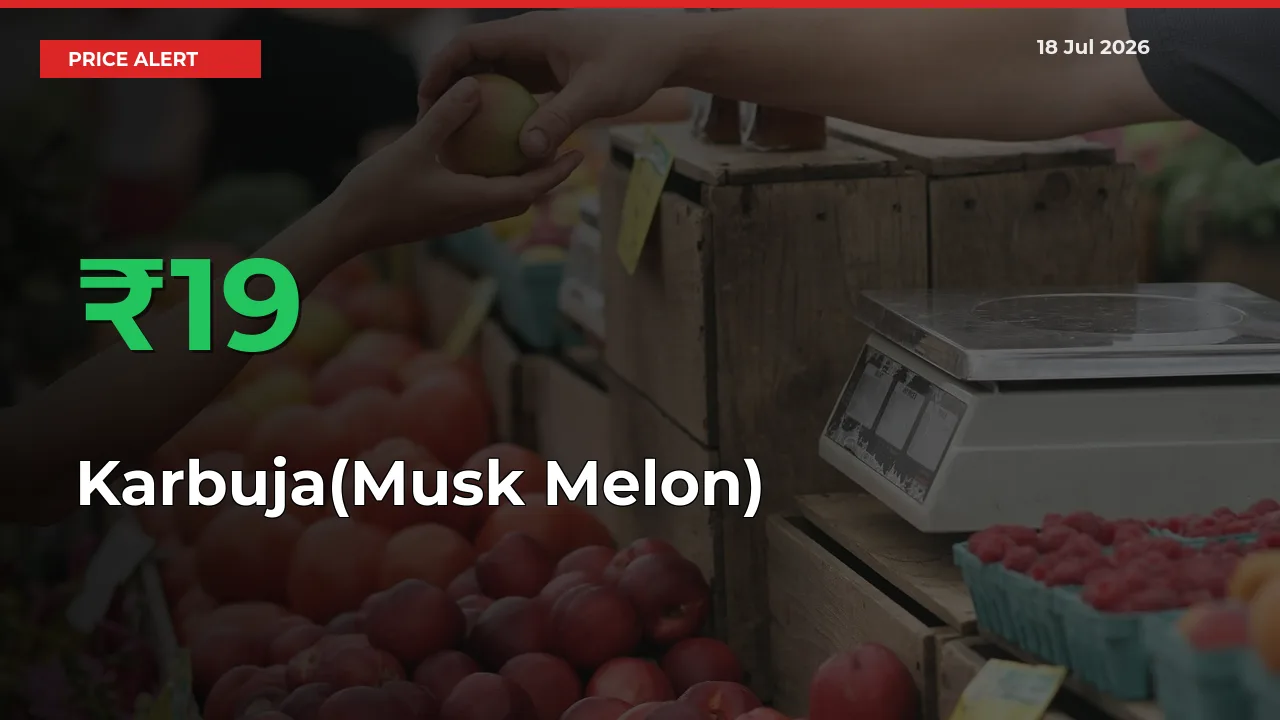 Karbuja(Musk Melon) Mandi Rate Today: Prices Jump 18.54% at Market
