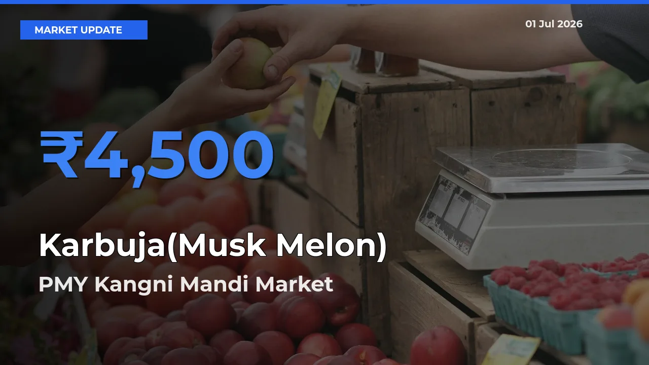 Market Watch: PMY Kangni Mandi Becomes Top Mandi for Karbuja(Musk Melon)