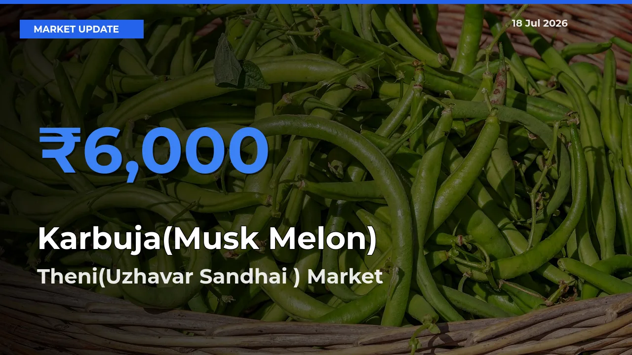 Theni(Uzhavar Sandhai ) Tops Karbuja(Musk Melon) Rates – July 18 Market Update