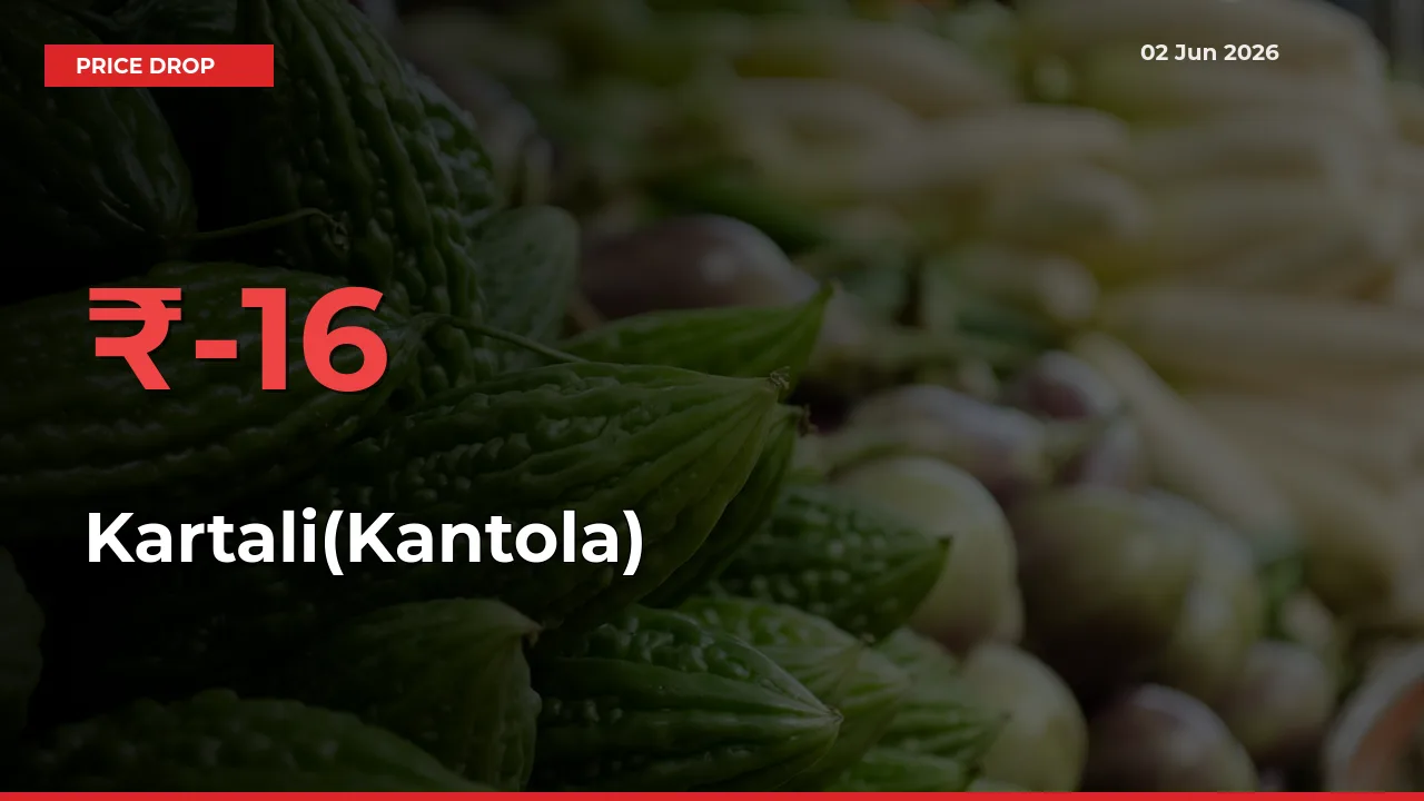 Sudden Shock! Kartali(Kantola) Drops 16.49% in 24 Hours at Top Mandis