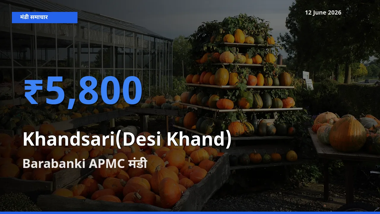 आज देसी खांड के सबसे ज़्यादा दाम Barabanki APMC मंडी में दर्ज