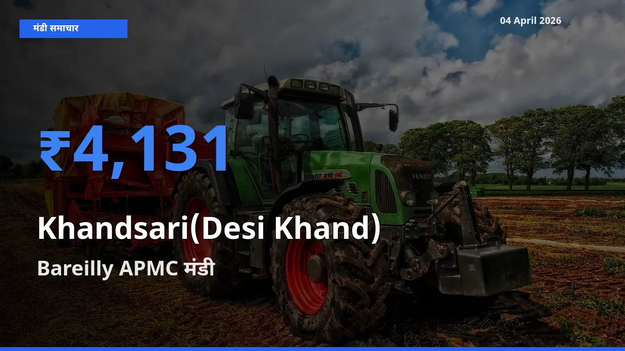 Bareilly APMC मंडी में आज Khandsari(Desi Khand) के सबसे ऊँचे दाम दर्ज