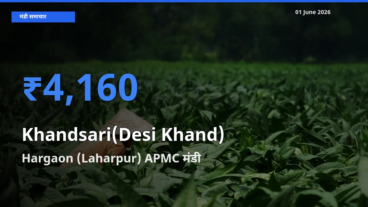 किसानों की पसंद बना Hargaon (Laharpur) APMC, देसी खांड के सबसे अच्छे दाम