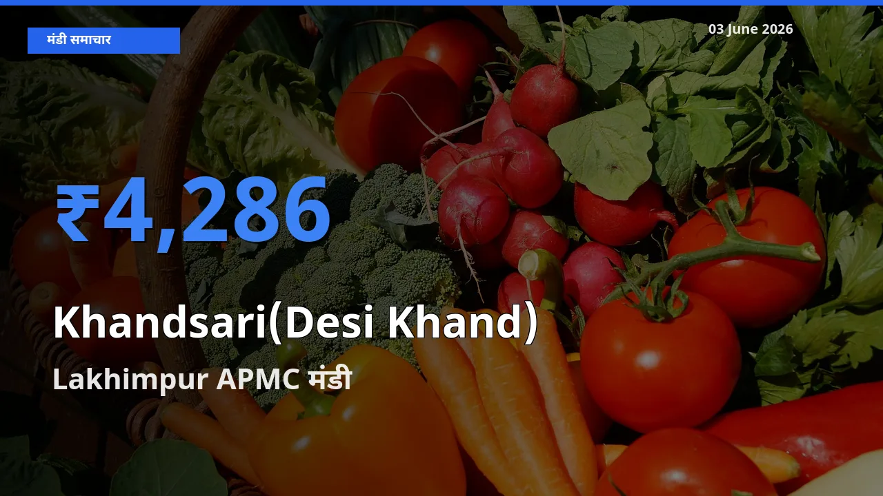 बाज़ार संकेत: Lakhimpur APMC बना देसी खांड के लिए आज की टॉप मंडी