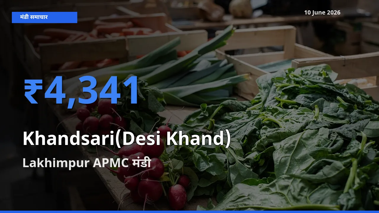 बाज़ार संकेत: Lakhimpur APMC बना देसी खांड के लिए आज की टॉप मंडी