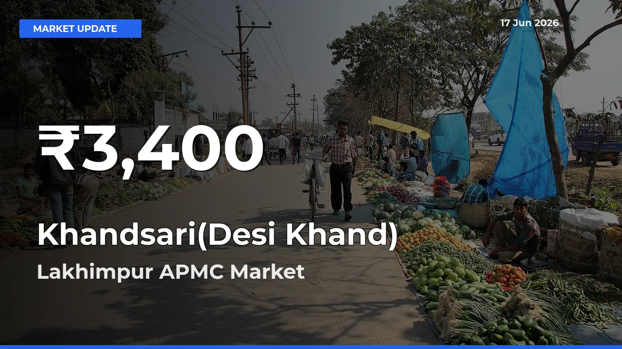 Why Khandsari(Desi Khand) Prices Slumped in Lakhimpur APMC – 30-Day Low Today
