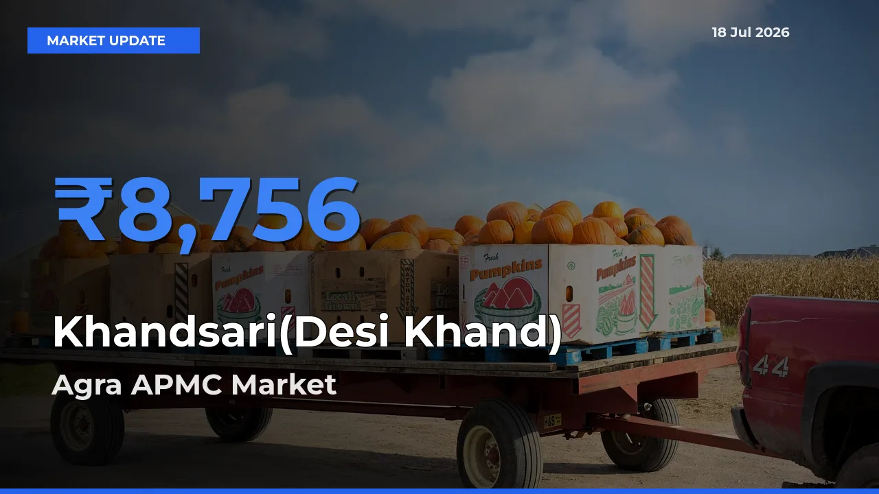 Agra APMC Offers ₹8,756 – Highest Khandsari(Desi Khand) Rate Today