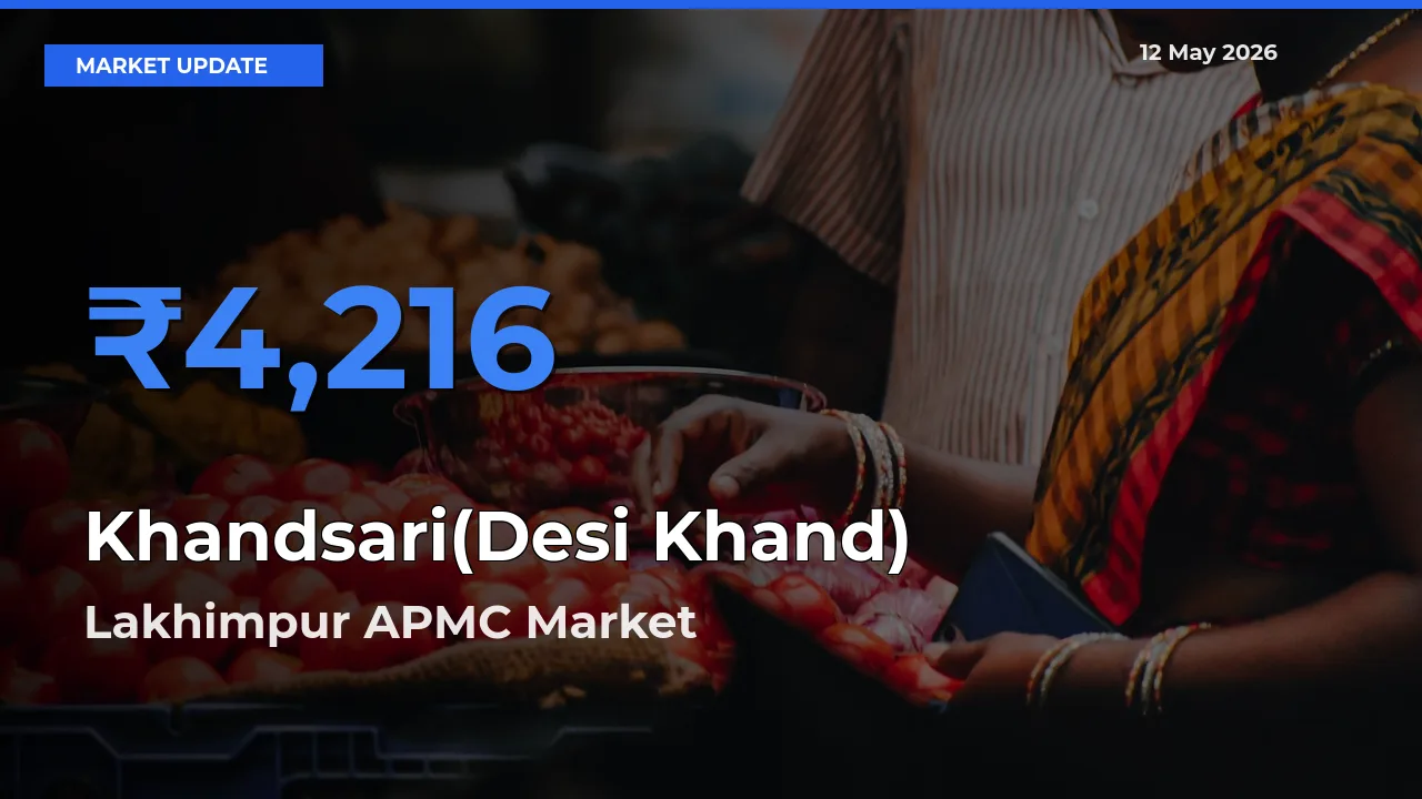 Lakhimpur APMC Leads as Top Mandi for Khandsari(Desi Khand) Prices
