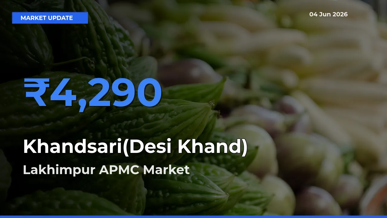 Lakhimpur APMC Emerges as Top Mandi for Khandsari(Desi Khand) Prices Today