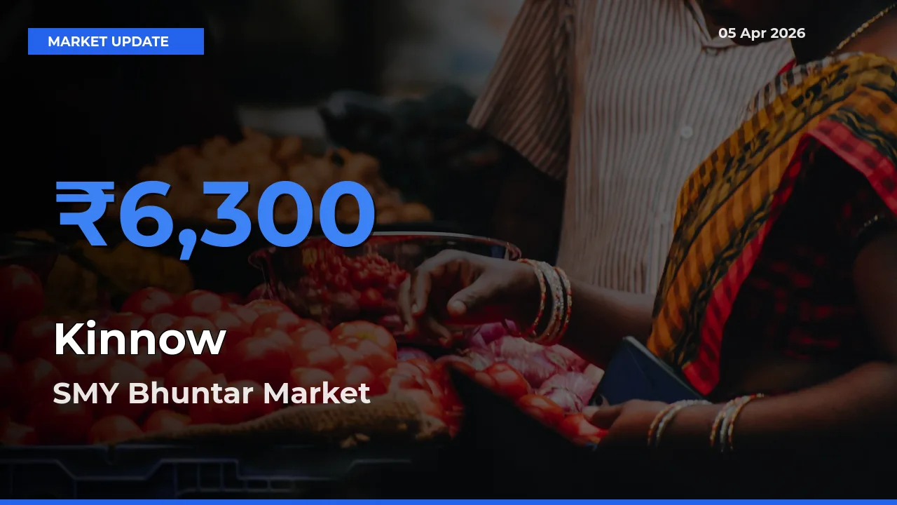 Market Watch: SMY Bhuntar Becomes Top Mandi for Kinnow