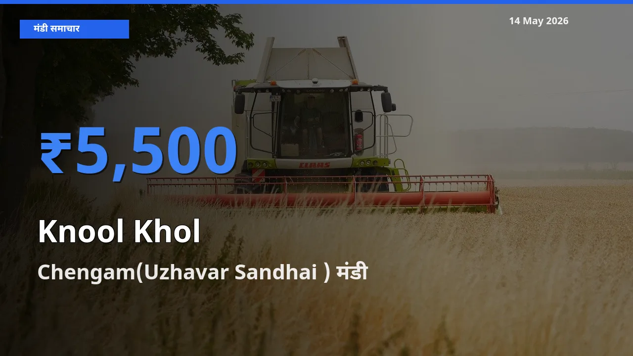 14 May अपडेट: गांठगोभी के सबसे ऊँचे दाम Chengam(Uzhavar Sandhai ) मंडी में