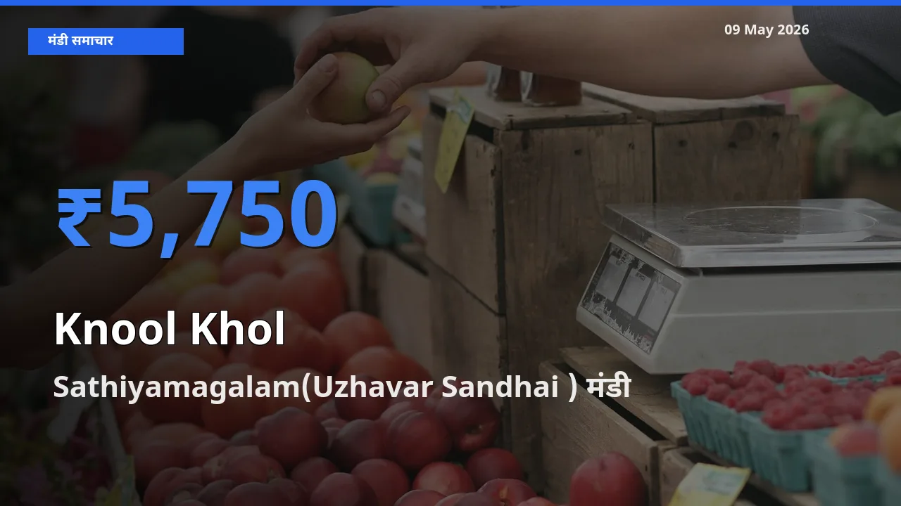 आज गांठगोभी के सबसे ऊँचे दाम ₹5,750 Sathiyamagalam(Uzhavar Sandhai ) मंडी में