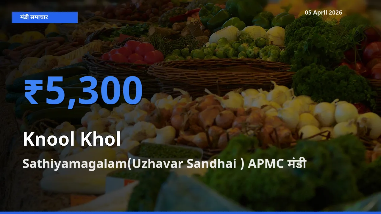 आज गांठगोभी के सबसे ज़्यादा दाम Sathiyamagalam(Uzhavar Sandhai ) APMC मंडी में दर्ज
