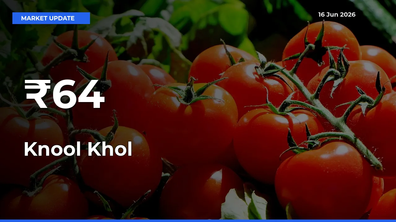 Knool Khol Prices Trend Across 64+ Mandis – Market Direction Turns Clear