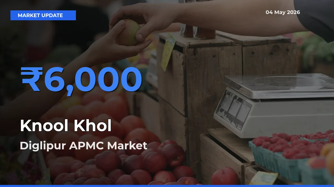 Market Watch: Diglipur APMC Becomes Top Mandi for Knool Khol